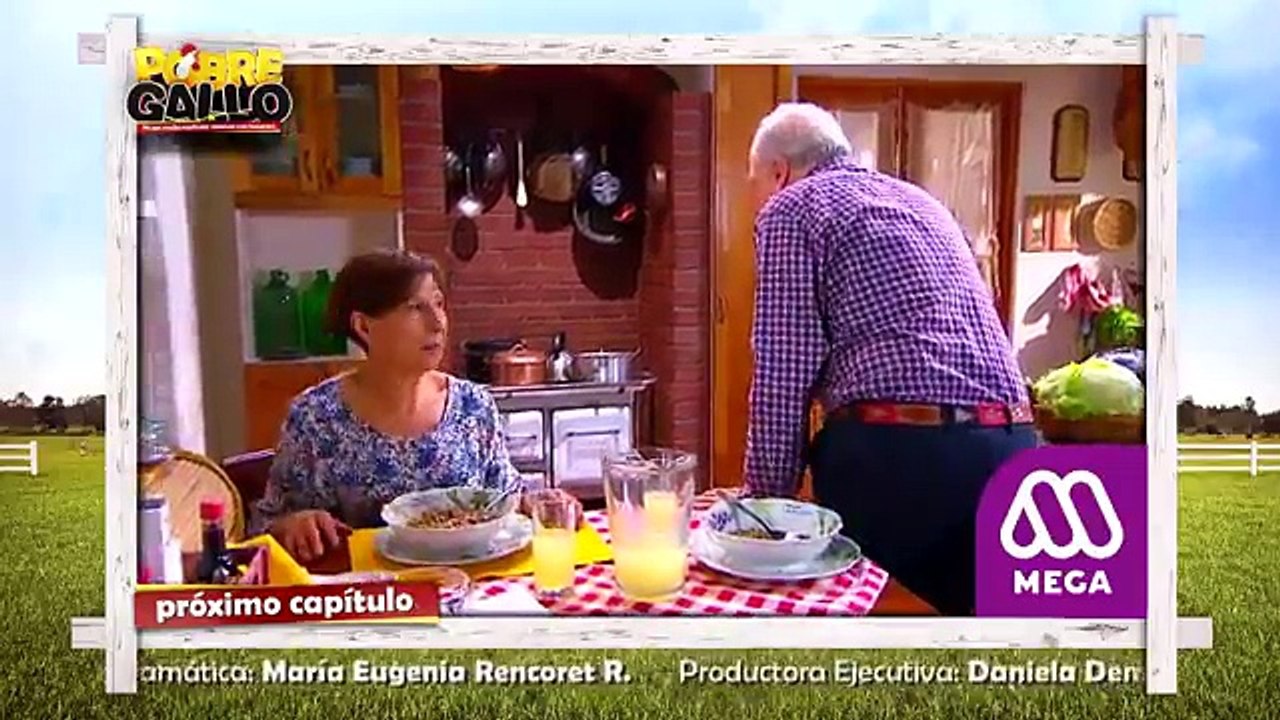 43 Avance Pobre Gallo