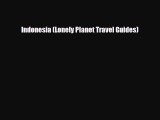 PDF Indonesia (Lonely Planet Travel Guides) PDF Book Free