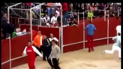 Bull Fighting with People Funny Videos (Funny Videos 720p)