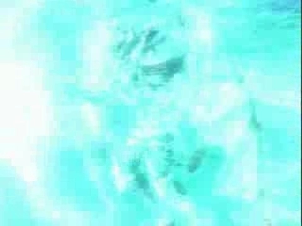 Amv-dirge of cerberus-Cradle