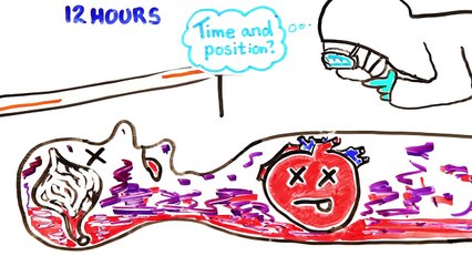 What Happens When You Die