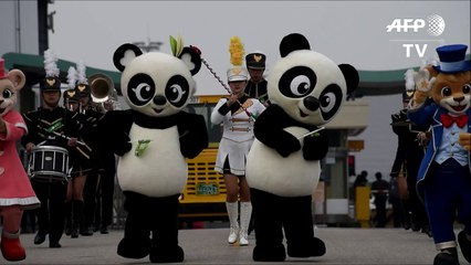 Pandas recebidos com honras na Coreia do Sul
