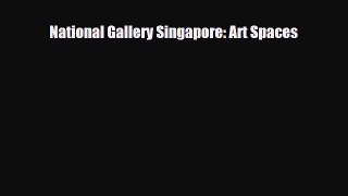 PDF National Gallery Singapore: Art Spaces Read Online