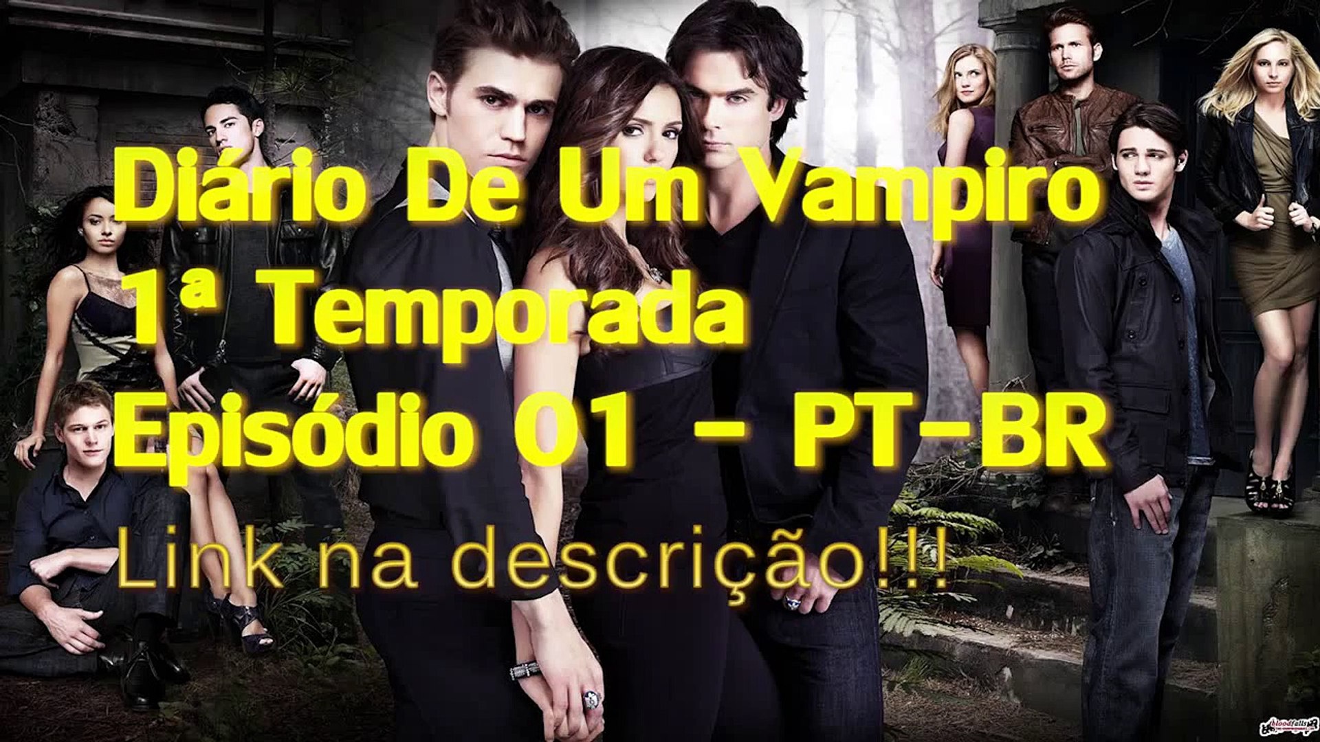 Diario um vampiro 1 temporada dublado