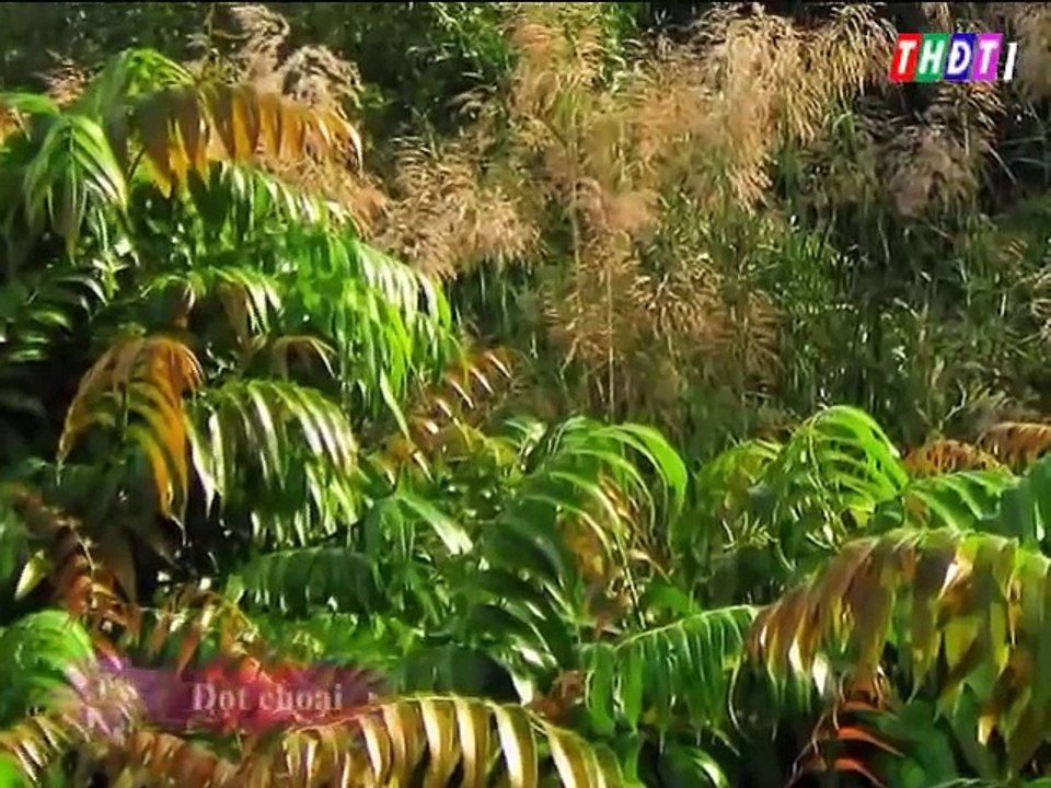 specialty Mekong Delta - Vietnam -part 3