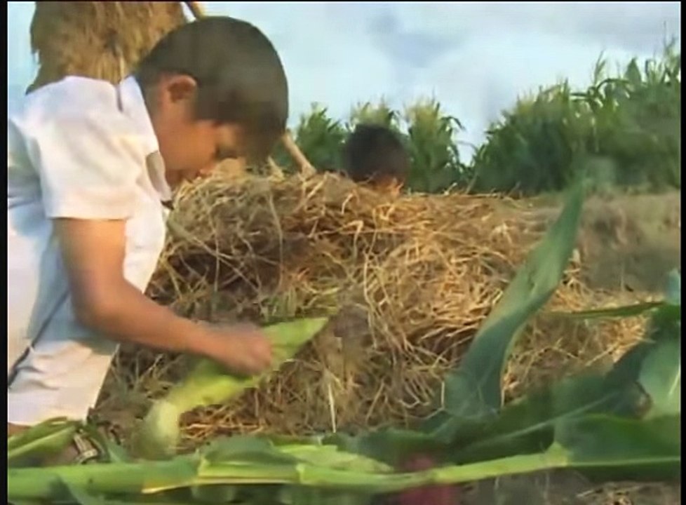 specialty Mekong Delta - Vietnam -part 4