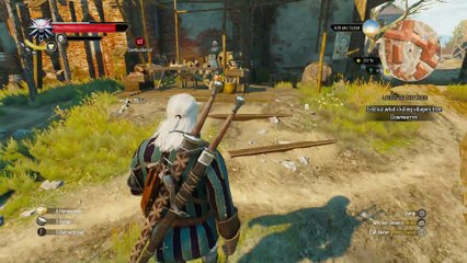 THE WITCHER 3 WALKTHROUGH PART 51 - LADIES OF THE WOOD & THE WHISPERING HILLOCK