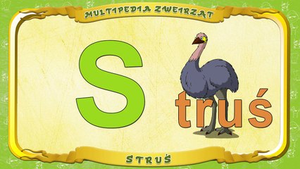 Multipedia Zwierząt. Litera S Struś