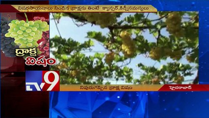 Pesticide usage makes Grapes consumption unsafe