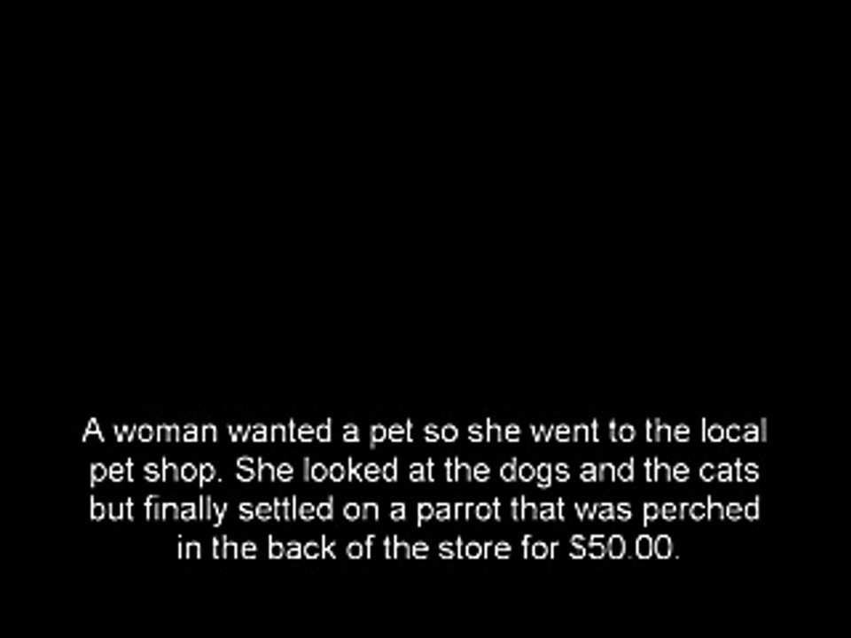 Parrot From The Whorehouse