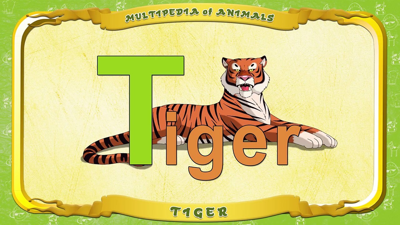 Multipedia of Animals. Letter T Tiger