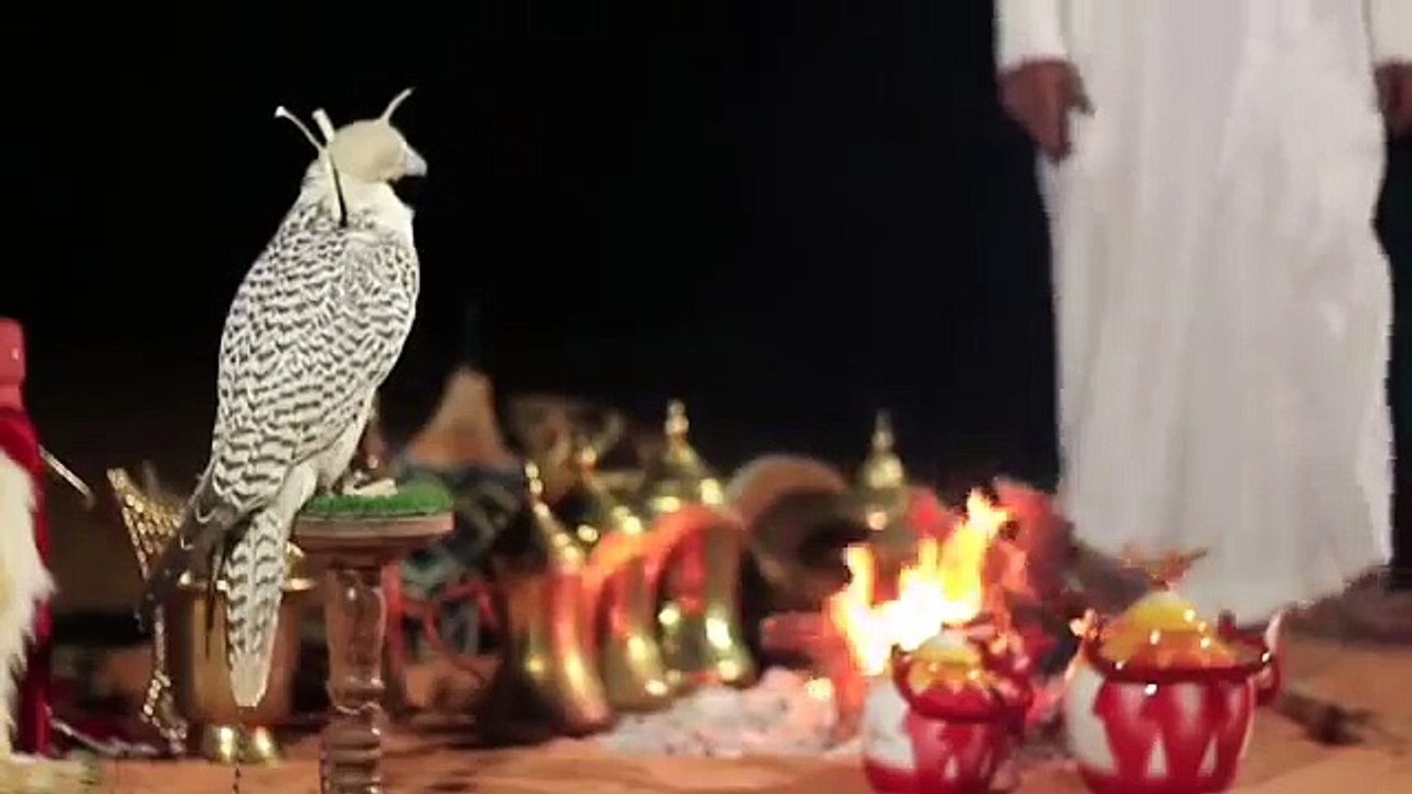 في سحابه فهد مطر عبدالعزيز العليوي