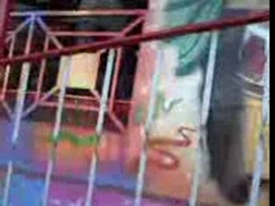 Video0137