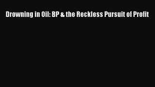 PDF Drowning in Oil: BP & the Reckless Pursuit of Profit  EBook