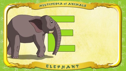 Multipedia of Animals. Letter E Elephant