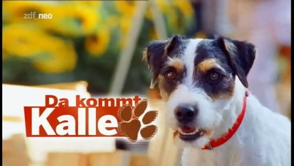 E 3 Da Kommt Kalle (Schwein gehabt) S 1