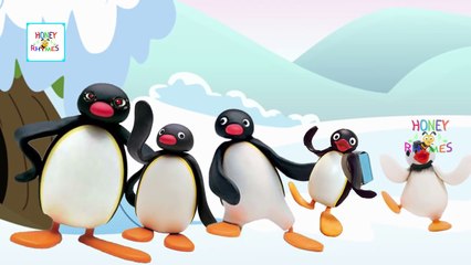 Finger Family Pingu Cartoon Animation Children Nursery Rhymes HD | Pingu Finger Family Son