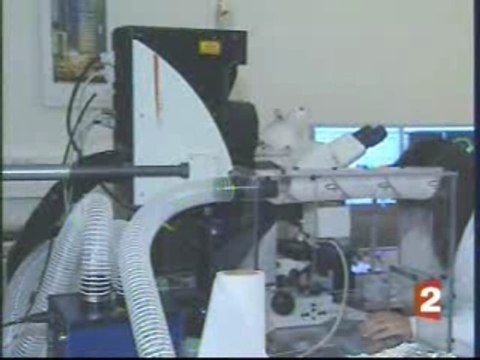 Sarko-Recherche Sarko-UMP héritage