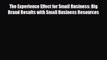 [PDF] The Experience Effect for Small Business: Big Brand Results with Small Business Resources