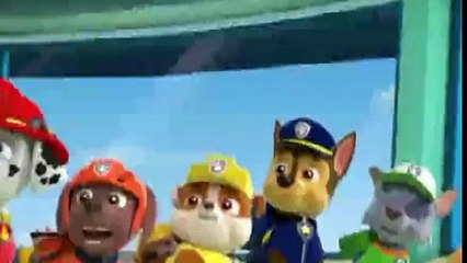Paw Patrol // Pups Save the Sea Turtles