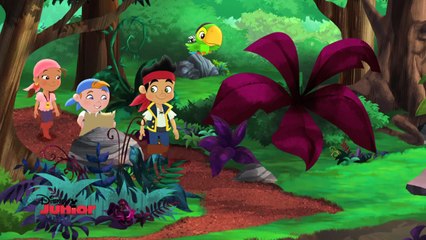 Jake and the Neverland Pirates - Mamma Hook Knows Best