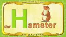 Multipedia der Tiere. Buchstabe H der Hamster