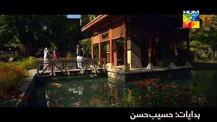 Diyar-e-Dil's Fara & Wali on Uzair Jaswal's Tere Bin