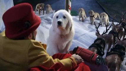 yo doblando a santa can el perrito blanco :D