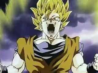 Dragonball Z Toonami Movie13 Wrath of the Dragon