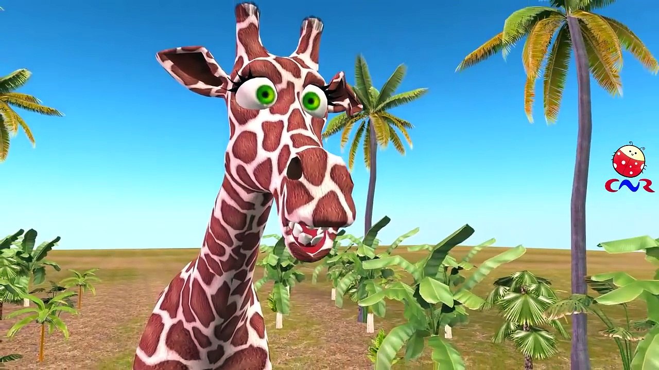 Finger Family Rhymes for Children Elephant Giraffe Horse Cartoons | Finger Family Nursery