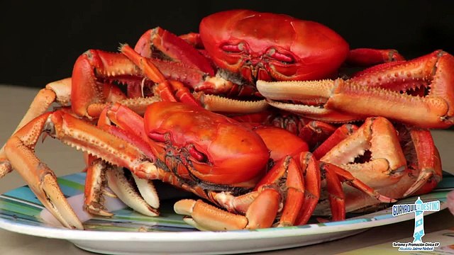 Vive la temporada en los balnearios de Guayaquil