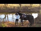 Horse Discovers that Splashing Water Of The  Stream Is Fun