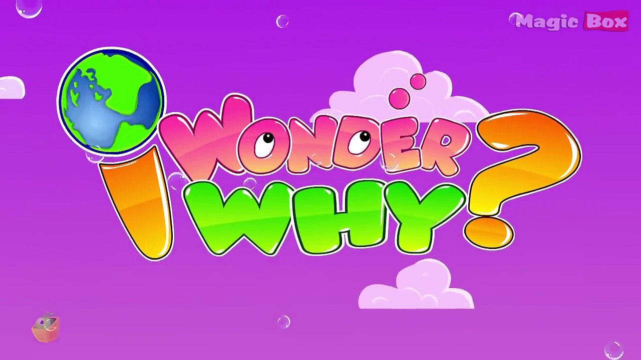 Why Do Fingers And Toes Wrinkle When Left In Water? - I Wonder Why - Amazing Fun Facts For Kids