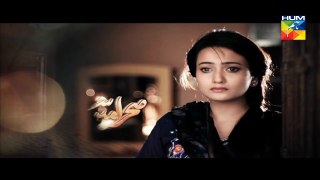 Sehra Main Safar Episode 12 Promo HUM TV  04 March 2016