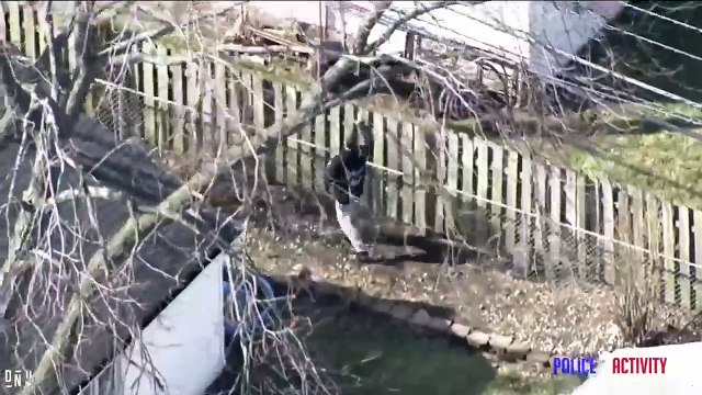 Un voleur en fuite pense echapper à la police en se cachant sous un trampoline dans un jardin