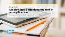 Display static and dynamic text in an application SAP BusinessObjects Design Studio 1.0