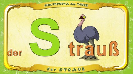 Multipedia der Tiere. Buchstabe S der Strauß