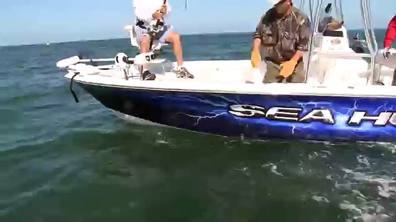When Fish Attack Back Compilation - YouTube