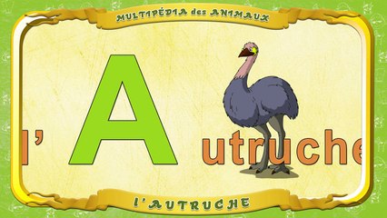 Multipédia des animaux. La lettre A lAutruche