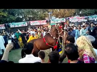 Rana Mashhood Ahmad Khan