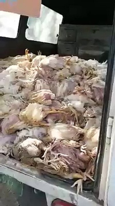 must watch every one
