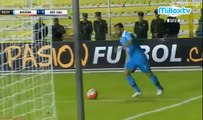 Bolivar 5 Vs 0 Deportivo Cali - Copa Libertadores - Los goles
