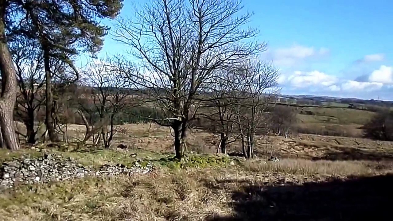 The Druids Graves, Cuff Hill, Beith