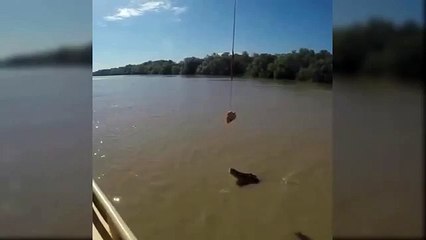 youtube- 18  2015  Prikoli TV