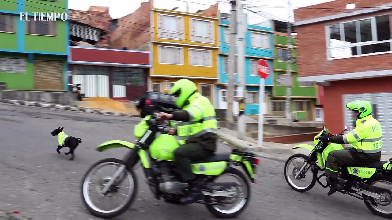 Самый храбрый офицер полиции