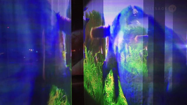 Pipilotti Rist Retrospective at Kunsthaus Zürich