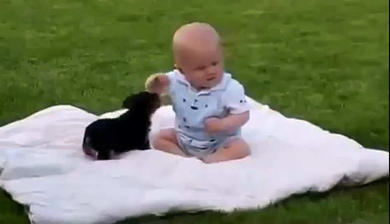 Video bayi lucu saat bermain dengan anjing peliharaannya