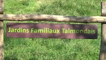 Jardins Familiaux Talmondais-Premiers travaux collectifs