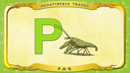 Мультіпедія тварин. Літера Р Рак