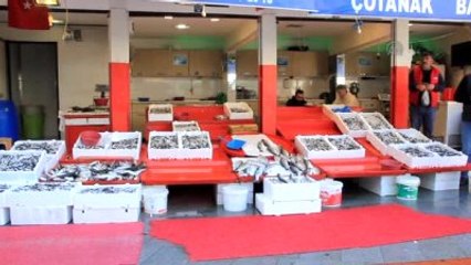 Doğu Karadeniz'de Balık Sezonunda Sona Yaklaşıldı